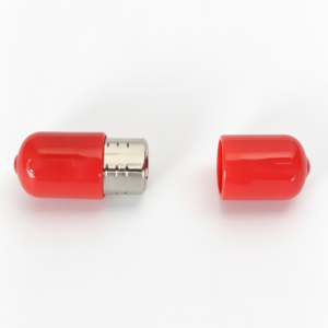 Inlet Check Valve